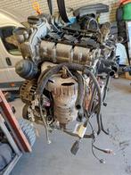 Motor 1.2 cgp 2012 115dkm polo, Ophalen of Verzenden, Volkswagen