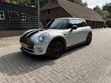 MINI Mini 1.5 Cooper Chili. Panoramadak,Navi,LED,half leer.  beschikbaar voor biedingen