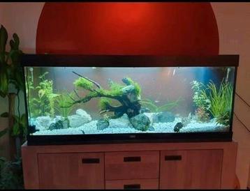 Aquarium stenen  beschikbaar voor biedingen