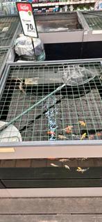 Verkoop opstelling vijver vissen., Dieren en Toebehoren, Vissen | Vijvervissen, Karper of Koi