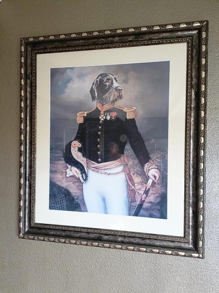 Schilderij: Hond als Generaal, Antiek en Kunst, Kunst | Tekeningen en Foto's, Ophalen