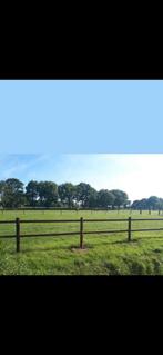 Stalling aangeboden in Een (Drenthe)., Dieren en Toebehoren, Stalling en Weidegang, Stalling