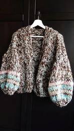 Wollen vest, Kleding | Dames, Truien en Vesten, Ophalen of Verzenden, Nieuw