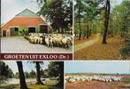 Exloo gelopen ansichtkaart ( 907 ), Ophalen of Verzenden, Gelopen