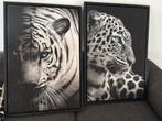 Canvas in Baklijst 2x Tijger/Panter koppen, Ophalen, Zo goed als nieuw