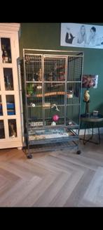 Blauwvoorhoofd amazone, Ophalen, Gebruikt, Metaal, Volière