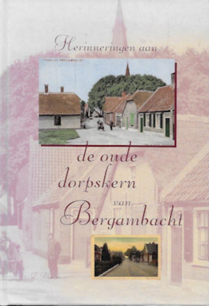 Een 2-tal boeken over BERGAMBACHT, Boeken, Geschiedenis | Stad en Regio, Zo goed als nieuw, Ophalen of Verzenden