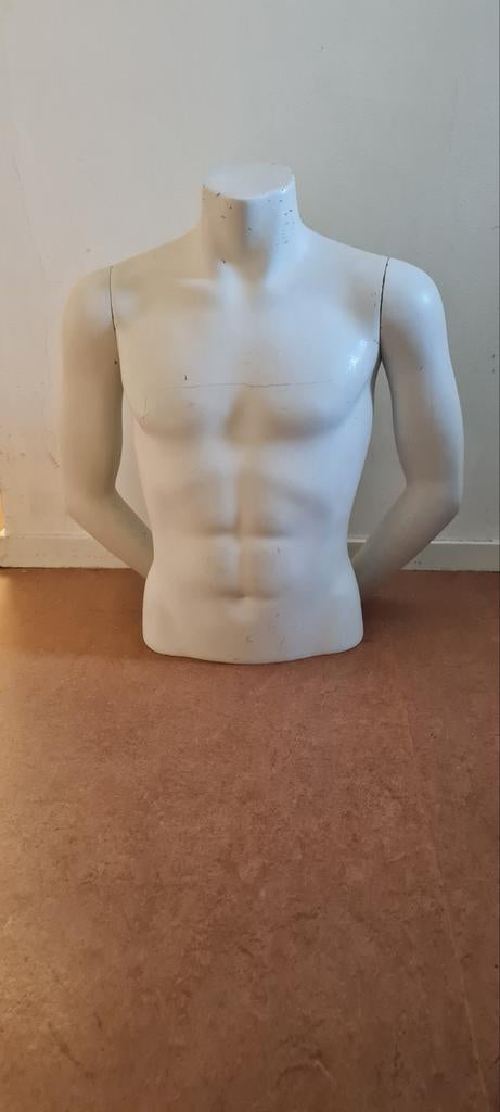 Mannelijke torso. Paspop, Ophalen, Gebruikt, Paspop