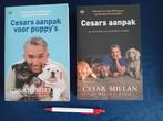 Cesar Millan. Cesars aanpak en aanpak voor puppys, Boeken, Dieren en Huisdieren, Ophalen of Verzenden, Gelezen, Honden