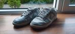 Nike dunks low grijs maat 42, Kleding | Heren, Schoenen, Ophalen, Overige kleuren, Nike dunk low, Sneakers of Gympen