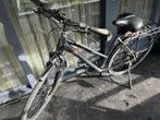 Fiets Pegasus, Gebruikt, Versnellingen, 53 tot 57 cm, Ophalen