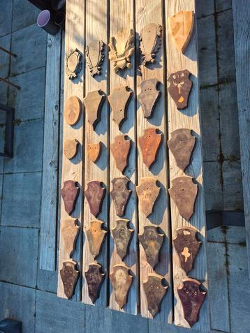 Houten schildjes jachttrofee Ree Reebok 30 stuks beschikbaar voor biedingen