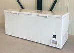 Vrieskist | 560L | Dubbele Klapdeksel | Statisch | Wielen, Info@neohoreca.nl, De steven 20-1 9206AX Drachten, Neo Horeca, Nieuw in verpakking