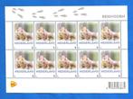 NVPH V3013 Vel Eekhoorn - 2013, Postzegels en Munten, Postzegels | Nederland, Verzenden, Na 1940, Postfris