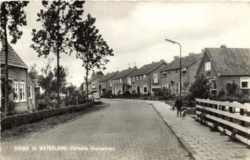 Broek in Waterland, Cornelis Roelestraat - ongelopen beschikbaar voor biedingen