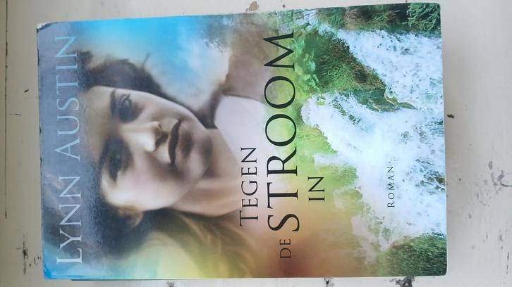 Lynn Austin - Tegen de stroom in, Boeken, Literatuur, Zo goed als nieuw, Nederland, Ophalen of Verzenden