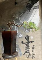 Bonsai Pinus Sylvestris, Bloeit niet, Overige soorten, Minder dan 100 cm, Ophalen