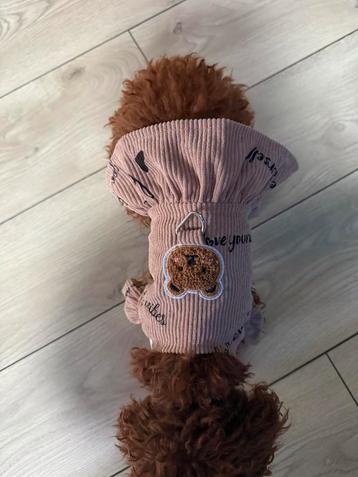 Hondenjurk mooi maat s beschikbaar voor biedingen