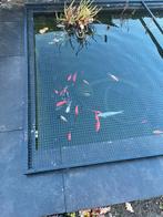 Vijver met vissen, pomp & filter, Tuin en Terras, Ophalen, Gebruikt