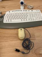 Microsoft Natural Ergonomic Keyboard 4000 + Muis & Webcam, Gebruikt, Ergonomisch, Ophalen of Verzenden, Qwerty