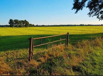 Weiland gezocht  beschikbaar voor biedingen