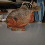 Opgezette piranha taxidermie, Ophalen of Verzenden