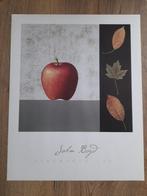 3 x tekening John Boyd appel/peer/citroen, Minder dan 50 cm, Ophalen of Verzenden, Zo goed als nieuw, Tekening