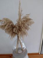 Vaas met pluimen, Ophalen