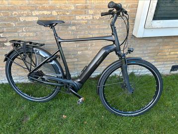 Giant dailytour beschikbaar voor biedingen