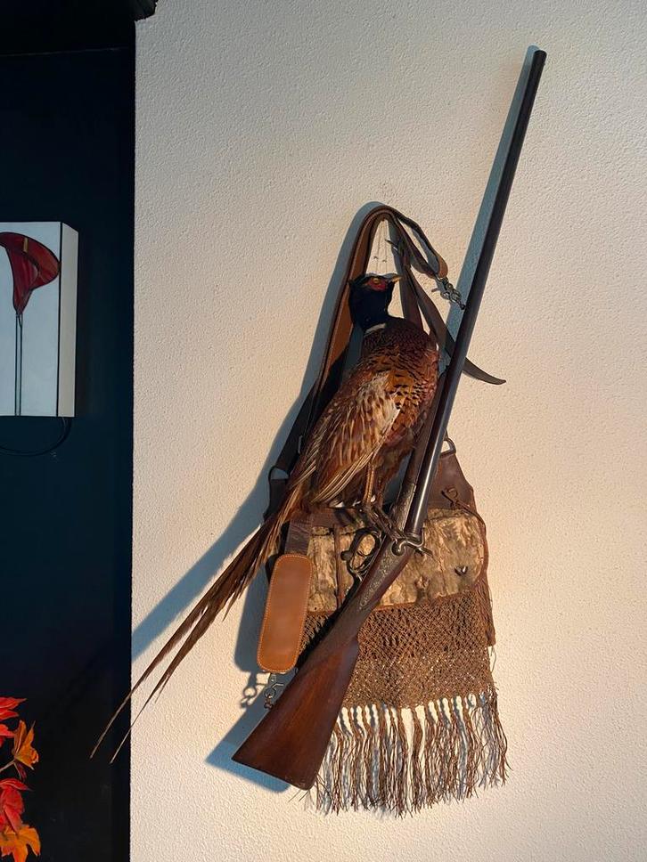 Prachtig jachttafereel, schitterend geweer, jachttas, fazant, Antiek en Kunst, Antiek | Overige Antiek, Ophalen