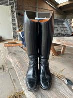 petrie x anky rijlaarzen, Dieren en Toebehoren, Paardrijkleding, Ophalen of Verzenden, Zo goed als nieuw, Dressuur, Schoeisel