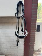Zgan BR stang en trens hoofdstel, Ophalen of Verzenden, Zo goed als nieuw, Dressuur