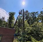 Bomen klimmend kapen snoeien, Diensten en Vakmensen, Tuinmannen en Stratenmakers, Tuinonderhoud of Snoeiwerk