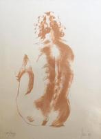 13 grafische zeefdrukken, Ophalen of Verzenden