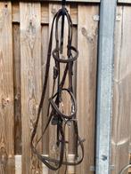 Hoofdstel maat Cob, Dieren en Toebehoren, Ophalen of Verzenden, Gebruikt, Springen