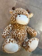 Giraffe knuffel groot, Kinderen en Baby's, Speelgoed | Knuffels en Pluche, Ophalen of Verzenden, Nieuw, Overige typen