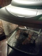 Mooi aquarium, Ophalen of Verzenden, Zo goed als nieuw, Leeg aquarium