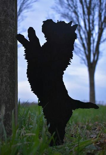 Dappere Cairn op prikker of voetje beschikbaar voor biedingen