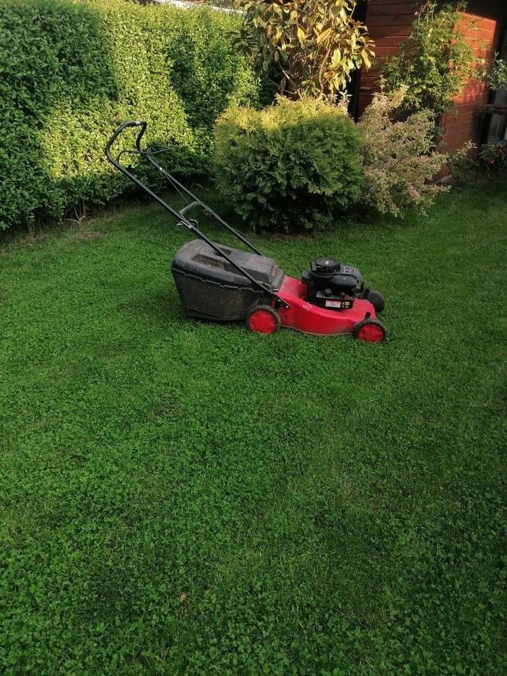 Tuinonderhoud en hoveniersdiensten aangeboden, Diensten en Vakmensen, Tuinmannen en Stratenmakers, Bestrating, Hekwerk of Schuttingen