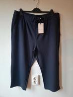 Only Carmakoma d-blauwe classic knickers maat:48, Kleding | Dames, Blauw, Maat 46/48 (XL) of groter, Nieuw, Ophalen of Verzenden