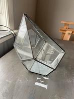 Glazen Plantenbak / Ornament, Huis en Inrichting, Woonaccessoires | Vazen, Gebruikt, Overige kleuren, Ophalen of Verzenden, Glas