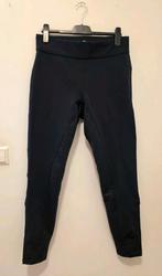 Harry's Horse Equitights Winter paardrij rijlegging maat 44, Dieren en Toebehoren, Paardrijkleding, Ophalen of Verzenden, Zo goed als nieuw