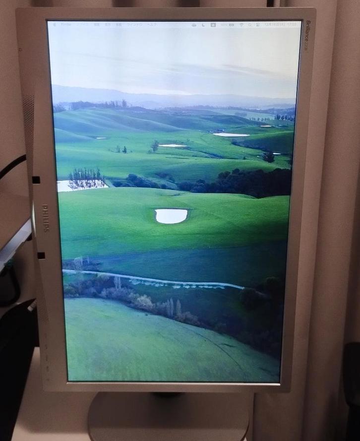 Philips Brilliance 220B monitor – draaibaar / pivot, Computers en Software, Monitoren, Gebruikt, 61 t/m 100 Hz, DVI, VGA, In hoogte verstelbaar