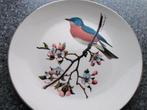 vogelbord met de afbeelding van "Bluebird" Sialia, Ophalen of Verzenden, Zo goed als nieuw