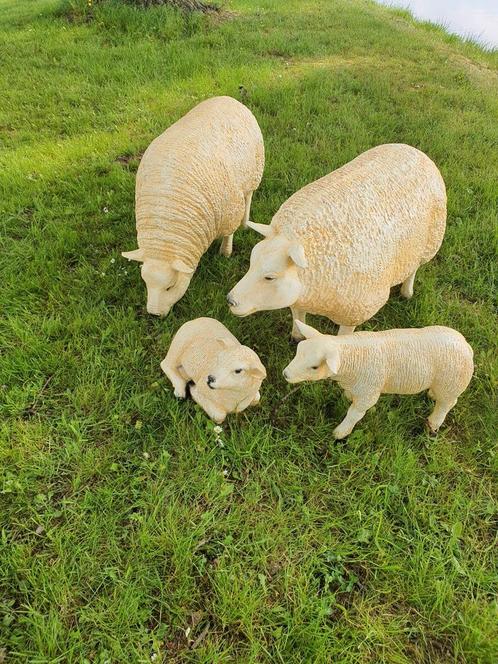Set van 4 Texelse Schapen, Tuin en Terras, Tuinbeelden, Nieuw, Dierenbeeld, Kunststof, Ophalen