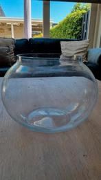 Grote vaas / visglas, Ophalen, Gebruikt, Glas, Minder dan 50 cm