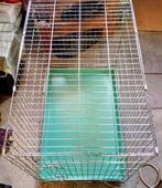 ( Honden ) Bench Inklapbaar 90cm lang , 56 breed , 66 hoog, Ophalen, Gebruikt