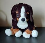 Schattige  Honden Knuffel, Ophalen, Zo goed als nieuw, Hond