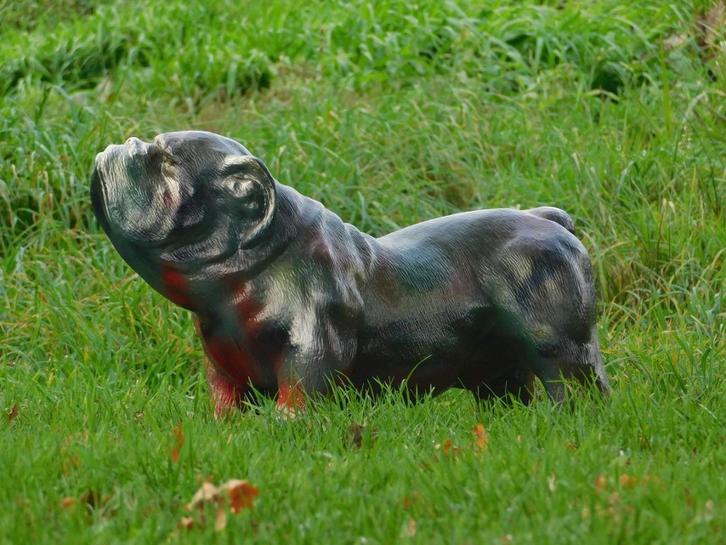Beeld Bulldog - multicolour - polystone, Tuin en Terras, Tuinbeelden, Dierenbeeld, Kunststof, Ophalen of Verzenden