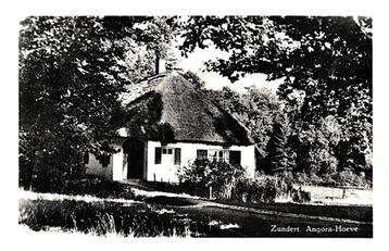 970377 Zundert N Br Angora Hoeve Postzegel afgeweekt beschikbaar voor biedingen